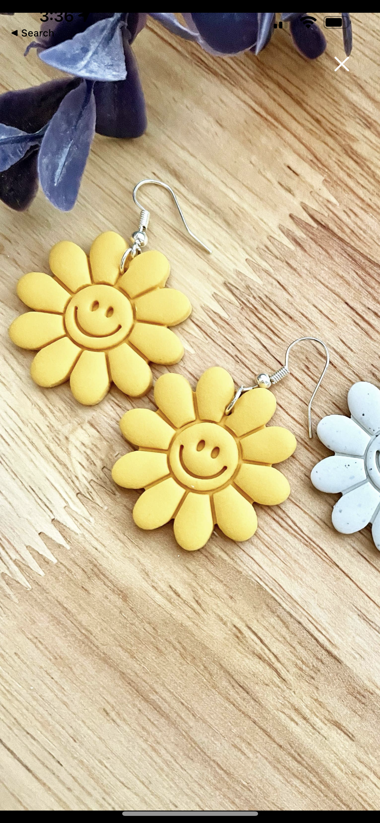 Clay earrings